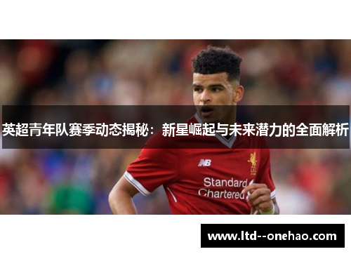 英超青年队赛季动态揭秘:新星崛起与未来潜力的全面解析 英超青年队赛季动态揭秘:新星崛起与未来潜力的全面解析