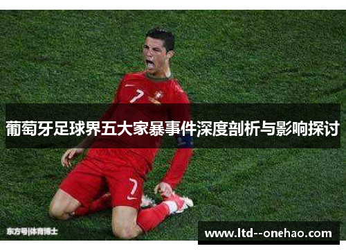 葡萄牙足球界五大家暴事件深度剖析与影响探讨 葡萄牙足球界五大家暴事件深度剖析与影响探讨