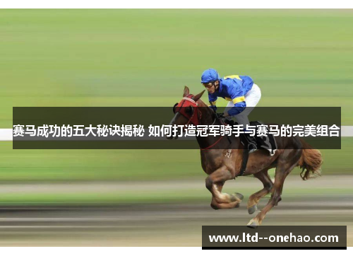 赛马成功的五大秘诀揭秘 如何打造冠军骑手与赛马的完美组合