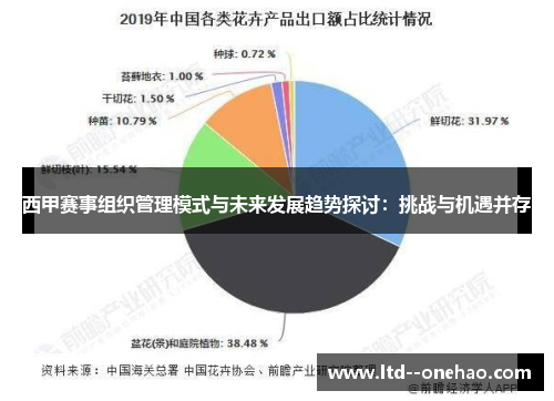 西甲赛事组织管理模式与未来发展趋势探讨：挑战与机遇并存