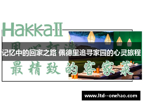 记忆中的回家之路 佩德里追寻家园的心灵旅程