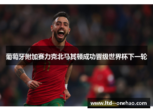 葡萄牙附加赛力克北马其顿成功晋级世界杯下一轮