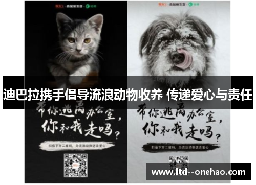 迪巴拉携手倡导流浪动物收养 传递爱心与责任