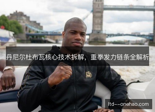 丹尼尔杜布瓦核心技术拆解，重拳发力链条全解析